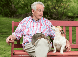 An elderly petting his dog and cat